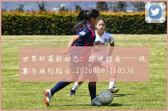 世界杯最新动态：球迷指南——观赛与旅行贴士_20260607160536